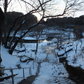 写真: 雪景色_守谷 F1405