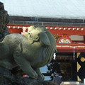 写真: 獅子_神社 F1705
