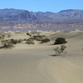 写真: Death Valley NP (4)