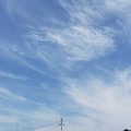 写真: 薄雲広がる夏空