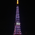 写真: 東京タワー-ダイヤモンドヴェール-16-2012