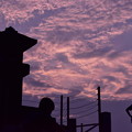 写真: 夏の夕雲