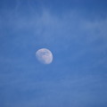写真: 浮かぶ月