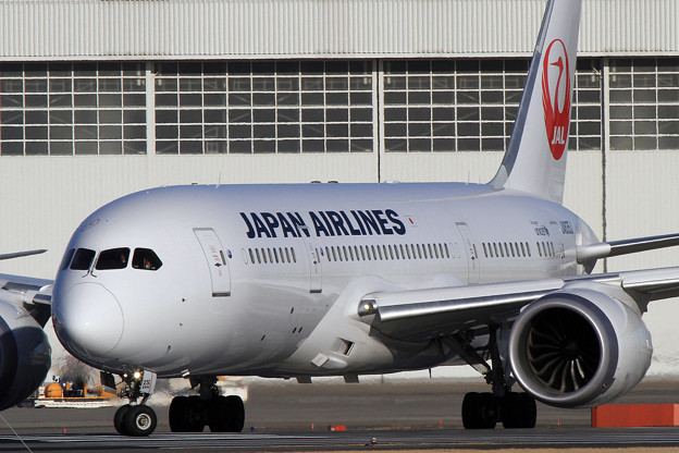 写真: 日本航空　B787-8 Dreamliner