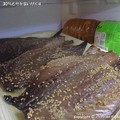写真: 2014-07-30鯖と鯵を食い尽くす (5)