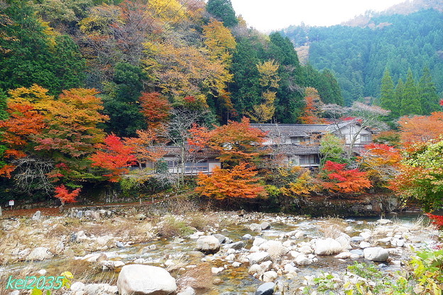 写真: 奥津渓の紅葉