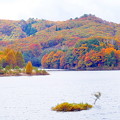 写真: 恩原湖の秋景