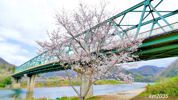 写真: 桜＆橋