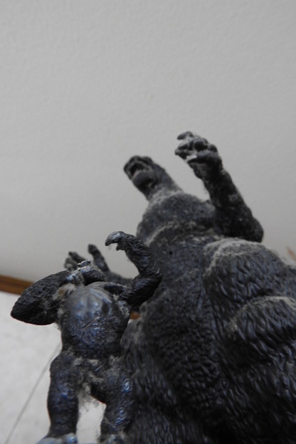 写真: Godzilla vs. Kong on 本棚