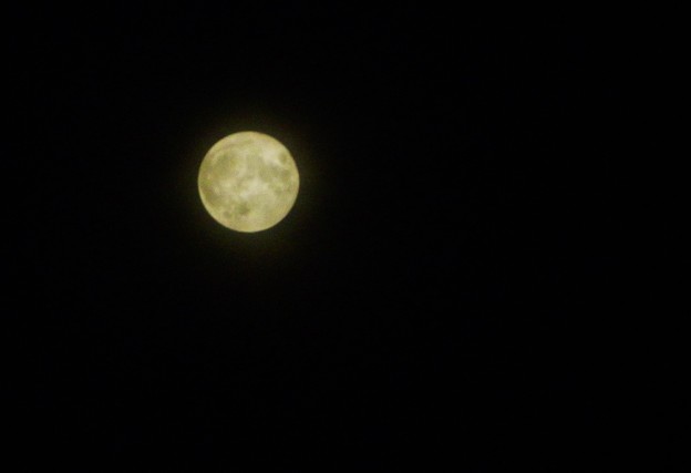 写真: 今夜はおぼろな満月