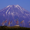 写真: 鯉のぼりに富士山