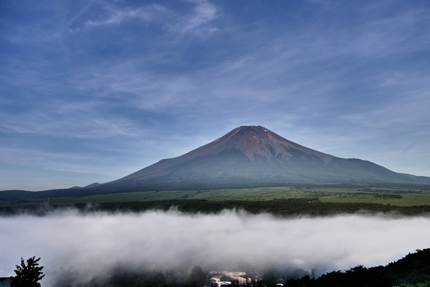 写真: 雲海の向こうに富士山