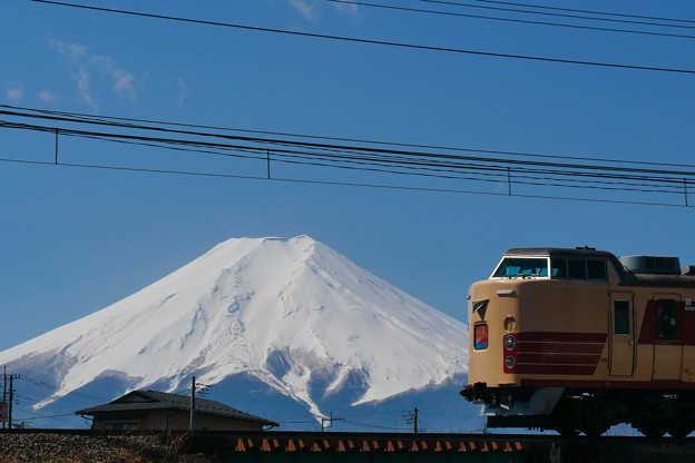 写真: 189系 ホリデー快速富士山 M51