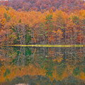 写真: 秋の御射鹿池