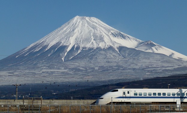 写真: 富士山と３００系