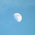 写真: 月と青空