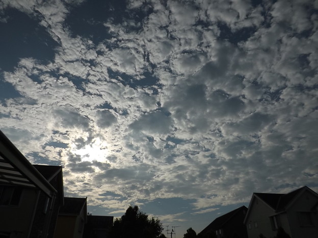 写真: 朝日と雲