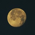 写真: 明け方の月