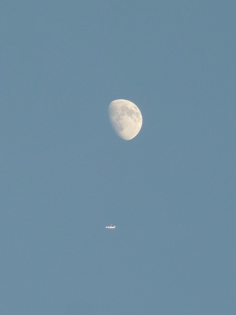 写真: 月の下を飛ぶ飛行機