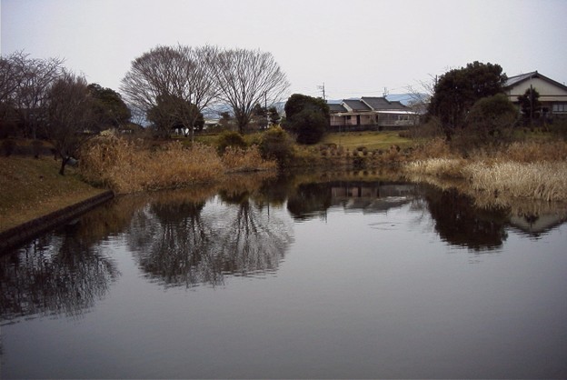 早水神社の池