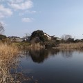 写真: 早水神社の池