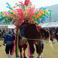 写真: 中米ジャンカ馬踊り
