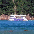 南郷の水中観光船