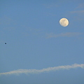 月とヒバリと飛行機雲