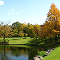写真: 美術館の池と紅葉