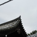 写真: 金地院外観（南禅寺。左京区）