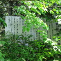 写真: 赤坂稲荷神社（下伊那郡平谷村）
