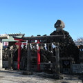 写真: 石浜神社・真崎稲荷神社（荒川区南千住）