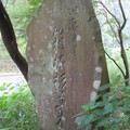 写真: 箱根旧街道杉並木（箱根町）