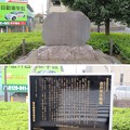 写真: 金井原（小金井市）古戦場考察地