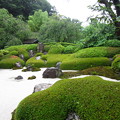 写真: 明月院（鎌倉市）庭園