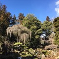 Photos: 恵林寺（甲州市小屋敷）庭園