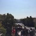 写真: 鶴岡八幡宮（鎌倉市）