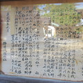 写真: 駿河国総社 浅間神社（静岡市葵区）八千戈神社