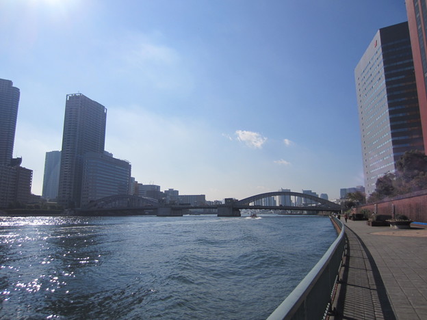 写真: 11.11.07.隅田川・勝鬨橋（中央区築地7丁目）