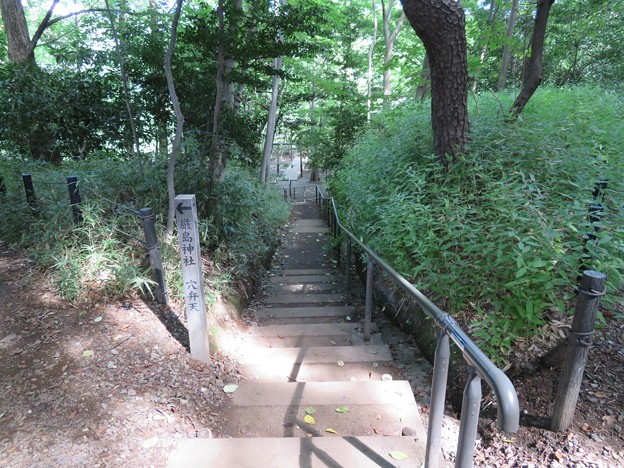 写真: 石神井城（練馬区。都立石神井公園）先は水神社