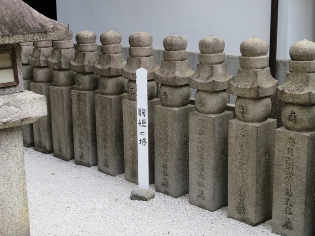 写真: 瑞泉寺（中京区）駒姫供養塔