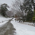 写真: 金沢城（石川県営 金沢城公園）新丸