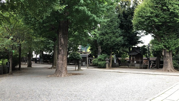 写真: 平塚神社／平塚城跡（北区）境内
