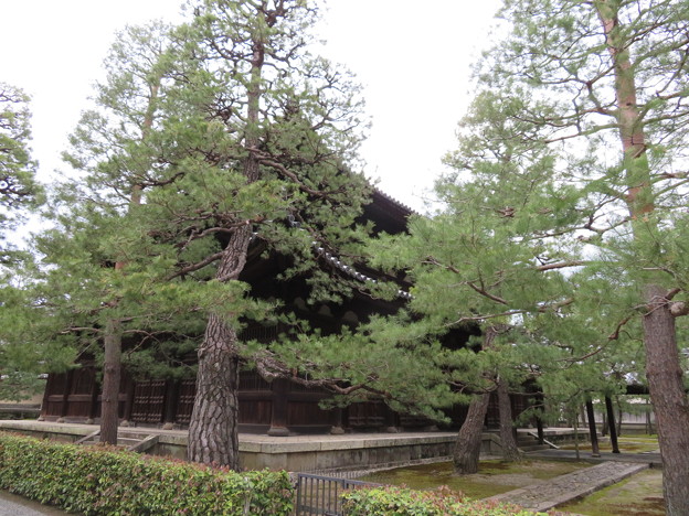 大徳寺（京都市北区）法堂