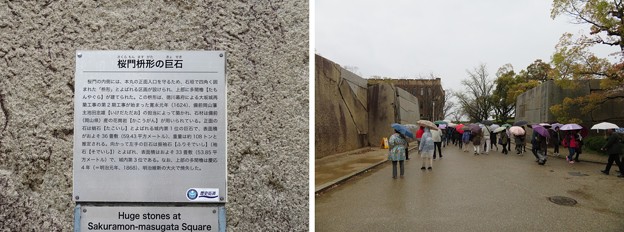 写真: 大坂城（大阪府大阪市中央区）桜門桝形・蛸石