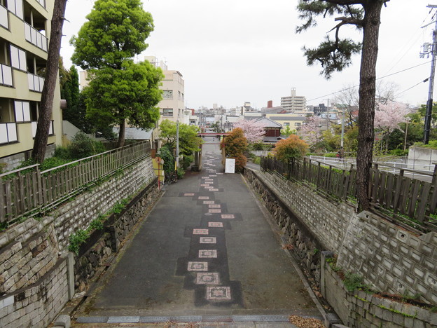写真: 阿部野神社（大阪市阿倍野区）西参道