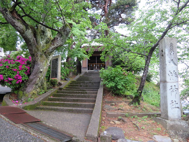 写真: 丸岡城（福井県坂井市）霞城山八幡神社