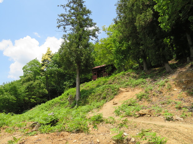 写真: 黒井城（兵庫県丹波市）石踏の段 段郭