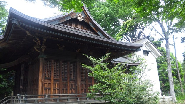 江古田氷川神社(中野区江古田)