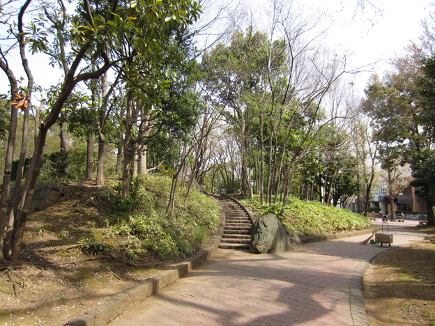 写真: 御殿前遺跡／滝野川公園（東京都北区）